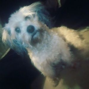 Meet your Posher, Desiree